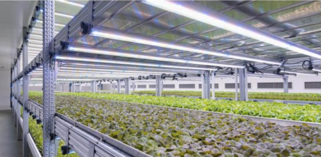 NEL BRESCIANO LA VERTICAL FARM PIU’ GRANDE D’EUROPA